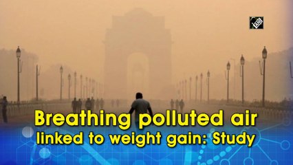 गंदी हवा में सांस लेने से बढ़ता है वजन: अध्ययन