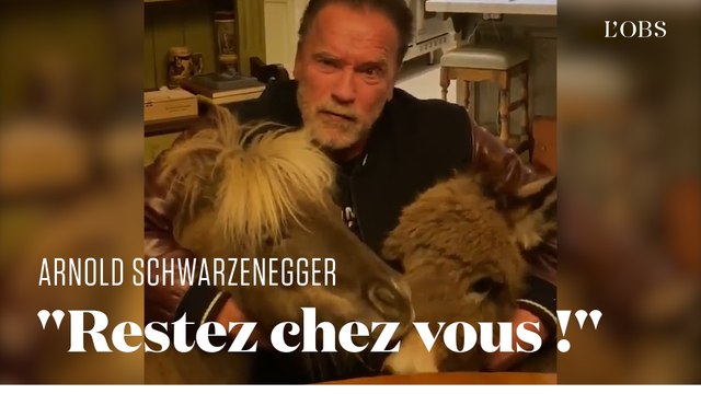 Confiné avec son âne et son poney, Arnold Schwarzenegger vous invite à rester chez vous pour lutter contre le coronavirus