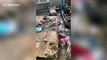 Chinese girl leaves apartment full of rubbish as she rents it for pet dogs