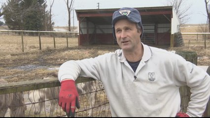 US Midwestern states hit hard by Trump's China trade war