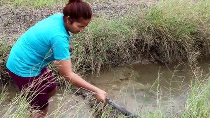 How to Dangerous this type of Fish Hunting at Cambodia  (part 038)