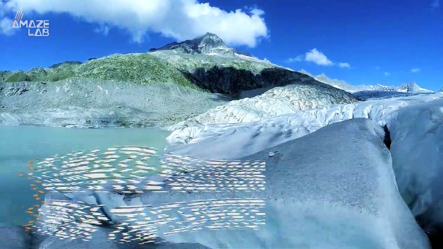 Scientists Share Top 4 Weapons Against Global Warming