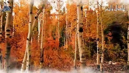 कौम ए सबा ने अल्लाह से बर्बादी क्यों माँगी | qaum e saba true stories | sabaq amoz waqiya