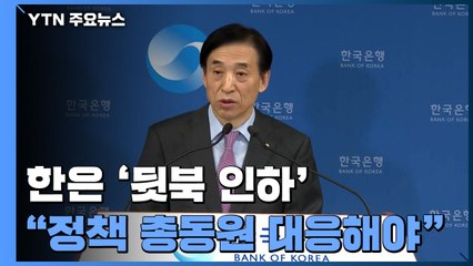 '뒷북' 금리인하..."재정·통화정책 총동원해 위기 대응해야" / YTN