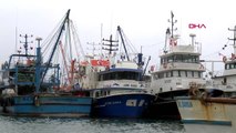 SAMSUN Karadeniz'de balık av sezonu erken kapanıyor
