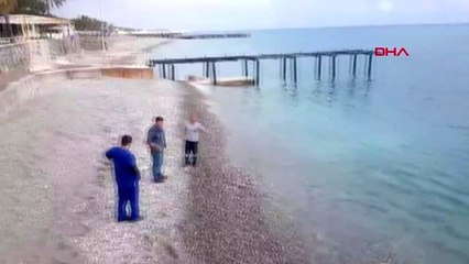 ANTALYA Kemer'de sahile köpek balığı ölüsü vurdu