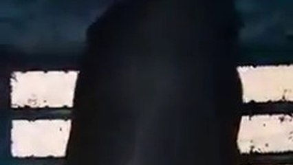 Amenazas de un preso en la cárcel durante el coronavirus: "Vamos a empezar a matar funcionarios"