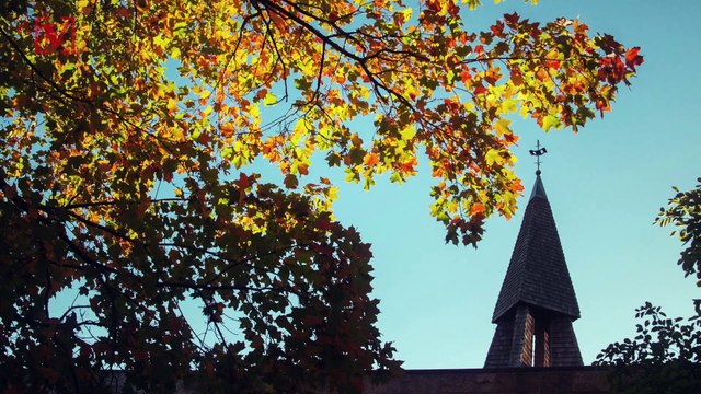 Conservative Pastor Tells Congregation to Shake Hands During Coronavirus Outbreak, Says Only ‘the Rapture’ Would Close Church