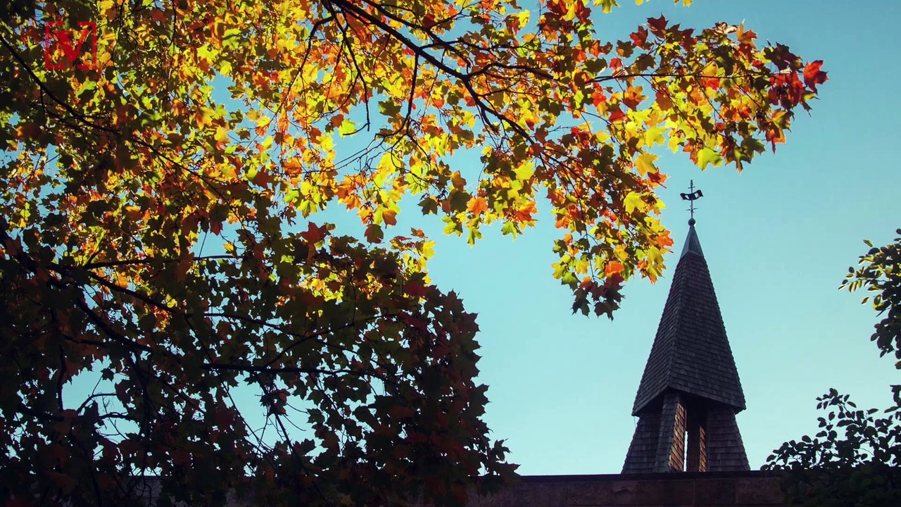 Conservative Pastor Tells Congregation to Shake Hands During Coronavirus Outbreak, Says Only ‘the Rapture’ Would Close Church