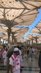 Madina manwwara Me jana matlab  Kaisa laga apsaab ko  IMG_0305