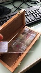 SVT observation microscope coupe intestin grêle