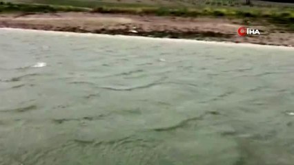 Baraj gölünde çıkan kesik kola ait vücuda ulaşılamadı