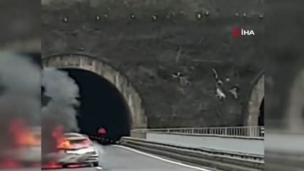Otomobil alevlere teslim oldu