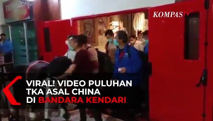 Viral Video Puluhan TKA China Tiba di Bandara Kendari, Ini Penjelasan Kapolda