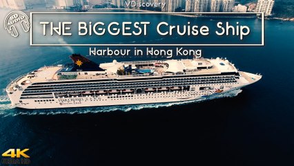 THE BIGGEST Cruise Ship - Harbour in Hong Kong 4K