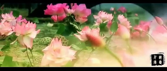 Tong Li 童丽 • Traditional Chinese Music • 女兒情