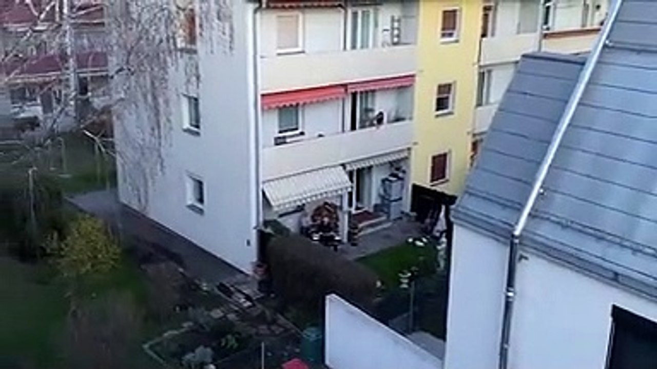 'Dich gibt's nur einmal für mich'