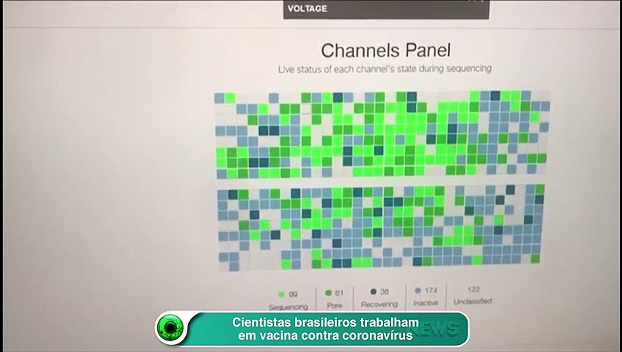 Cientistas brasileiros trabalham em vacina contra coronavírus