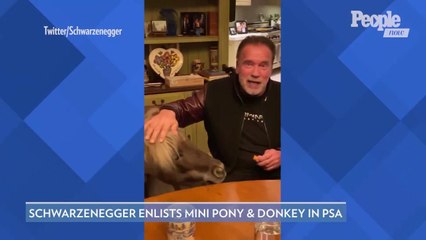 Arnold Schwarzenegger Recruits His Mini Pony and Donkey to Help Encourage People to 'Stay Home'