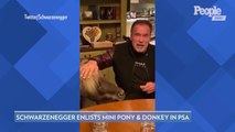 Arnold Schwarzenegger Recruits His Mini Pony and Donkey to Help Encourage People to 'Stay Home'