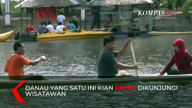 Menikmati Hutan Liontin di Danau Tangkas Jambi