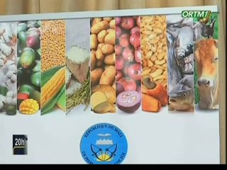 ORTM/Préparatifs de la campagne agricole 2020 présidé par le premier ministre