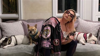 So gehen Promis in Quarantäne