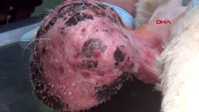 ERZURUM Doğu'nun dezenfektanı Erzurum Atatürk Mesleki Teknik Anadolu Lisesinden