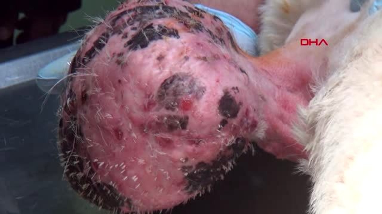 ERZURUM Doğu'nun dezenfektanı Erzurum Atatürk Mesleki Teknik Anadolu Lisesinden