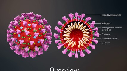 Coronavirus - Symptoms,Prevention,Treatments|please Share - Friends & Familymembers