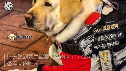 petmao_curation-petsmao.nownews-copy1-20200317-09:30