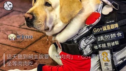 petmao_curation-petsmao.nownews|petmao_curation_mobile-copy1-20200317-09:30