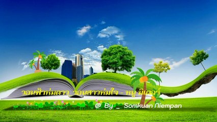 วอนฟ้าห่มดาว วอนสาวห่มใจ - หนู มิเตอร์ [4k 60fps Video]