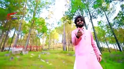 Teda Haq Ni Zeeshan Khan Rokhri New super Hit song 2019 Official Music Video{Sonywaqas}