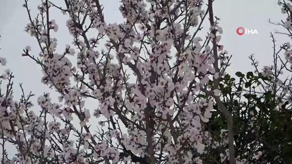 Niğde'de vatandaşlar güne karla uyandı