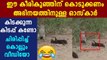 Mongoose Pup Hilariously Plays Dead For Hornbill | Oneindia Malayalam