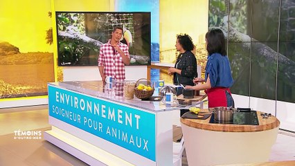 Environnement : Soigneur pour animaux
