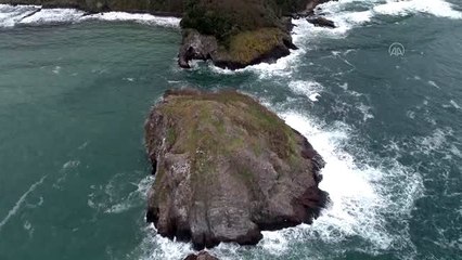 "Sakin şehir" Perşembe'deki Hoynat Adası turizme kazandırılıyor - ORDU