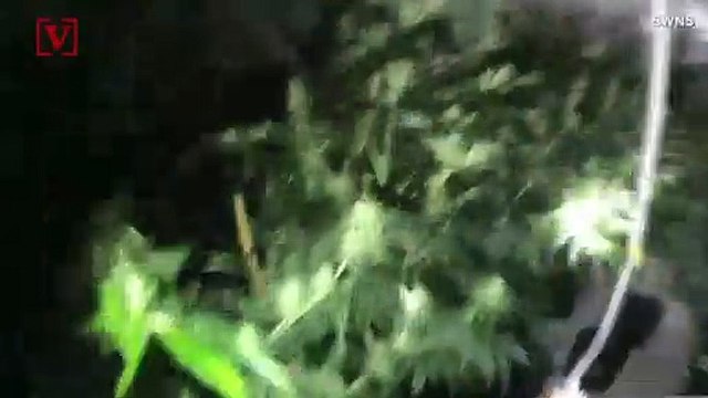 These Cops Thought a House Was Being Robbed But What They Found Shocked Them