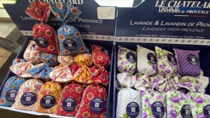 BON PLAN AGDE - Pour éviter les files d'attente, la Maison du Terroir Français propose des produits locaux