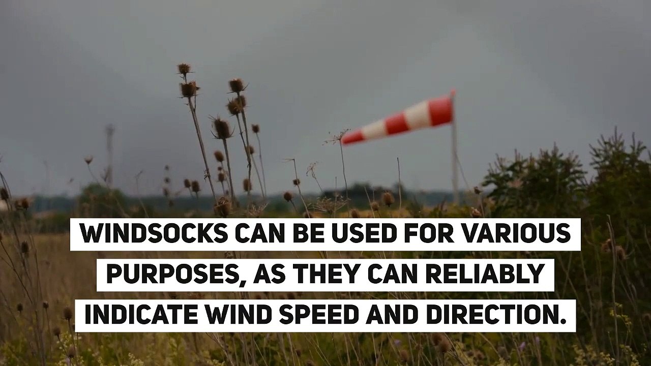 Decorative Windsock Flags on Sale