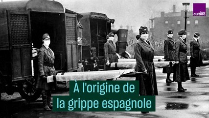 À l'origine de la grippe espagnole - #CulturePrime