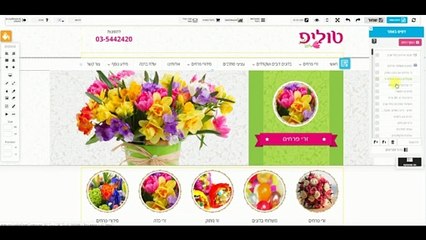 מדריך פתיחת דפים ועריכתם - בניית אתר אינטרנט ב2all
