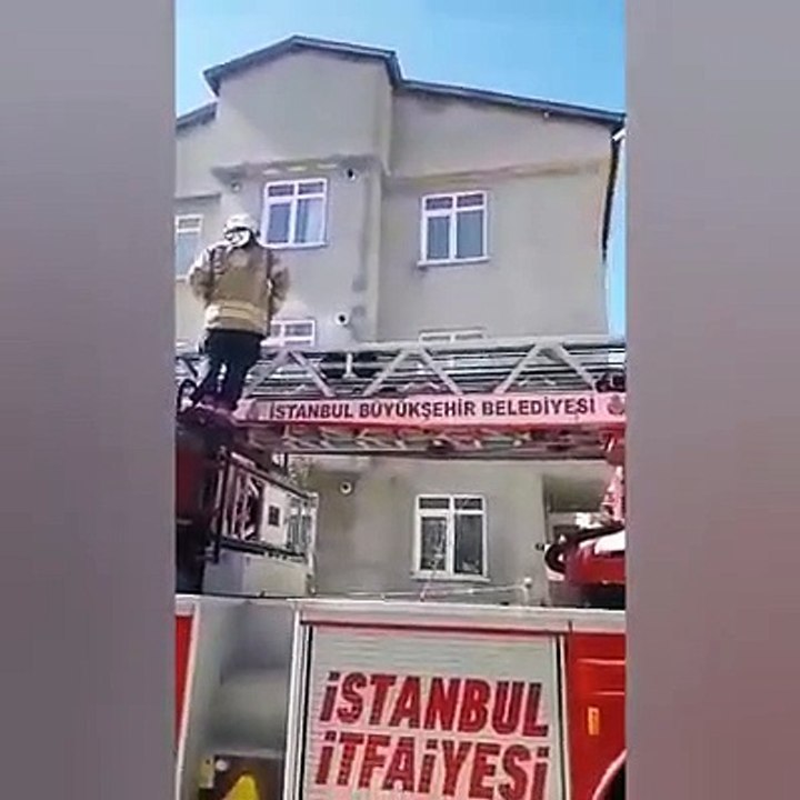 Çatıda mahsur kalan kedi,Silivri İtfaiye ekiplerince kurtarıldı.