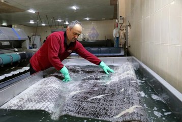 Halılara 'korona virüsü' önlemi