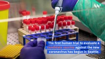 US Begins First Human Trial of Coronavirus Vaccine