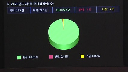 11조 7천억 원 코로나19 추경안 본회의 통과 / YTN