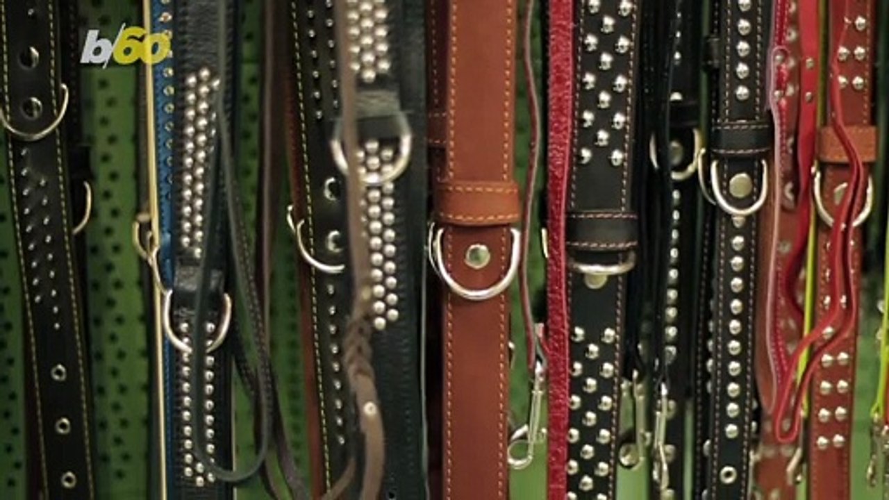 These Tips Will Make Your Next Dog Walk Better for the Dog and the Human!