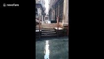 Venice canal water appears clearer as coronavirus keeps tourists away