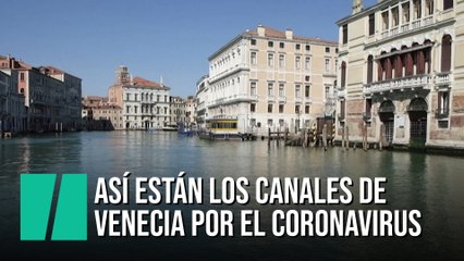 Así está el agua de los canales de Venecia por el coronavirus: transparente y con peces